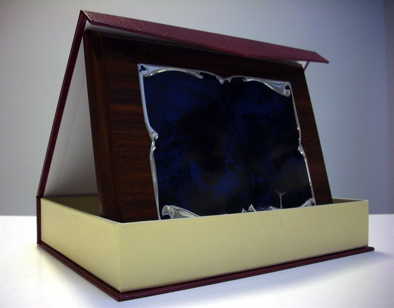 C0037-2 / PLACA AZUL PEQ. CON ESTUCHE