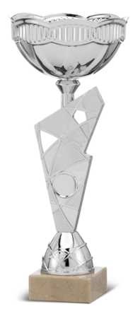 T19107-2 / COPA - OFERTA