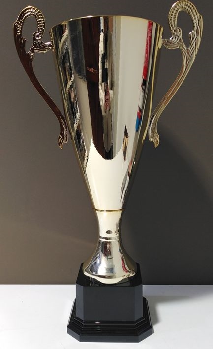 T25020-2 / COPA